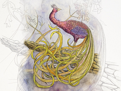 Phoenix illustration japan painting peacock phoenix watercolor