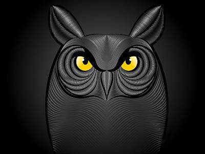 owl illustration animation basel bird branding cartooning creative illustration illustrator magazine owl serag vector