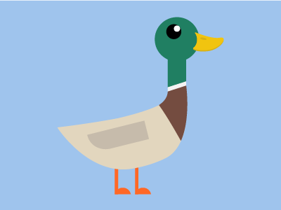 Mallard Illustration by Mark O'Black on Dribbble