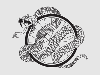 Road snakes animal bicycle cycling road snake wheel