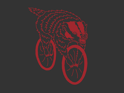 Badger animal badger bicycle cycling omnivore