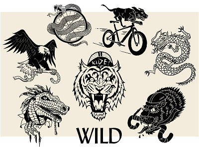 Animals animals cycling wild