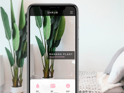 Shrub app design ui ux