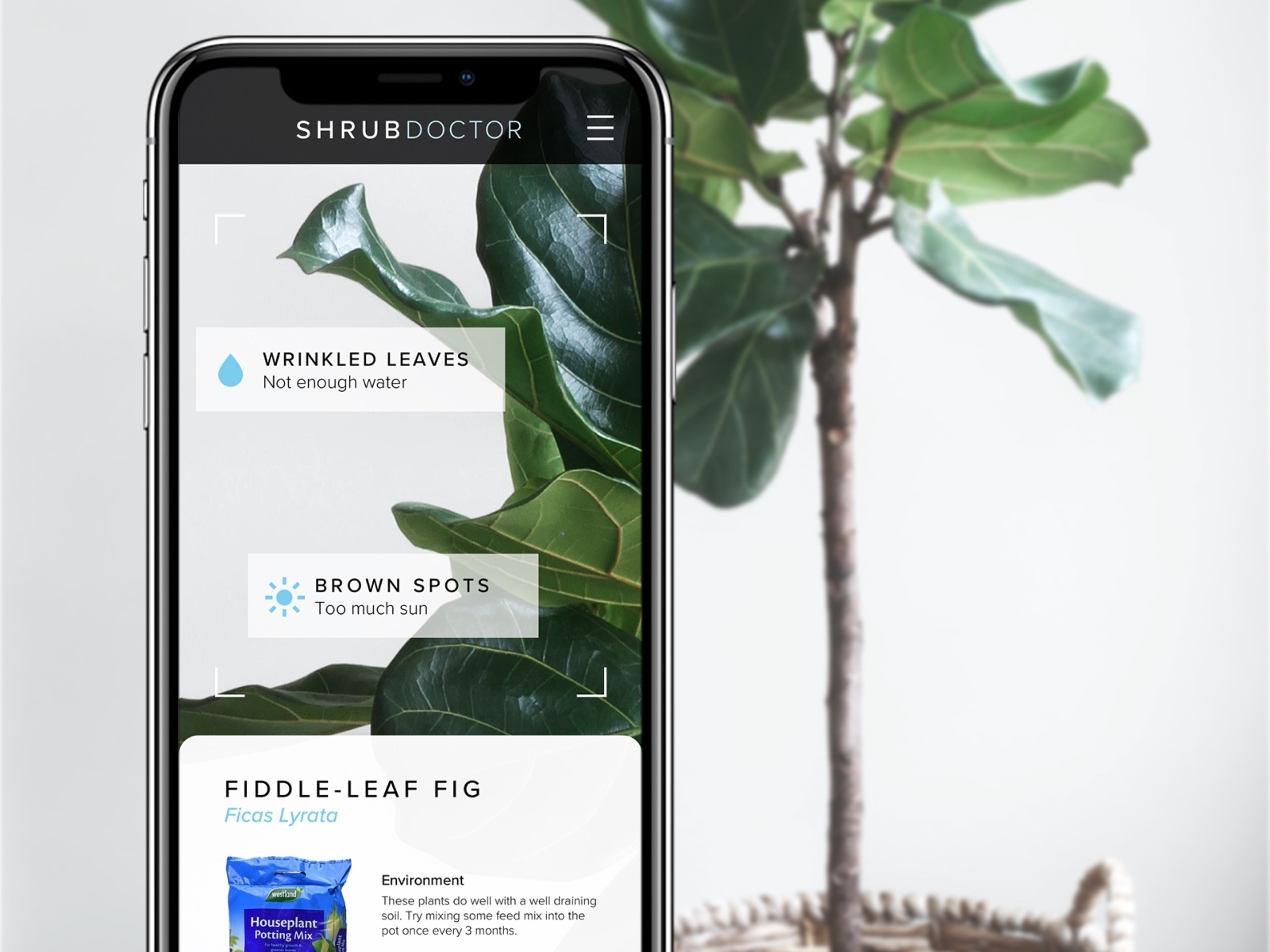 Shrub Doctor by Steph Brooks on Dribbble