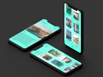 travel app destination ui prototype animation app design destinations iphone x places travel app traveling ui ux