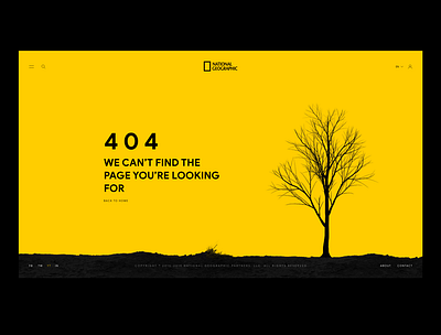 404 adobe xd design ui ux web website