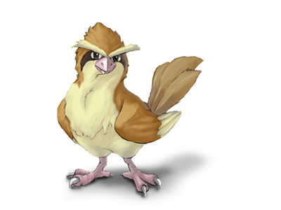 Pidgey bird digital painting pidgey pokemon