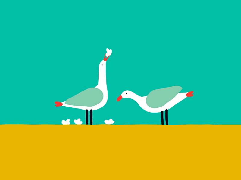 Hungry seagulls 2d animation design gif loop popcorn seagulls