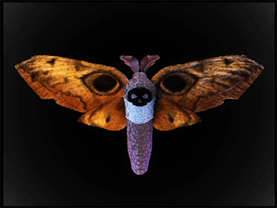 One Fell Swoop animation c4d moth skull