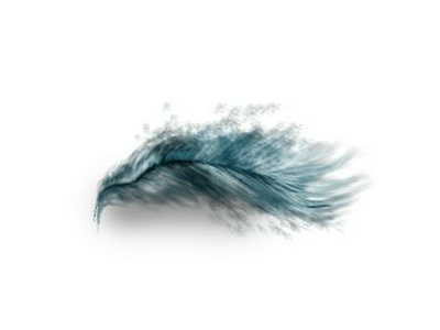 Feather with Wacom digital art