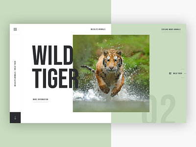 🐅 Wildlife Animals - Wild Tiger animals clean concept concept design creative creative agency design photoshop sketch typography ui uidesign ux uxdesign web design website wild deer wild tiger wildlife wildlife animals