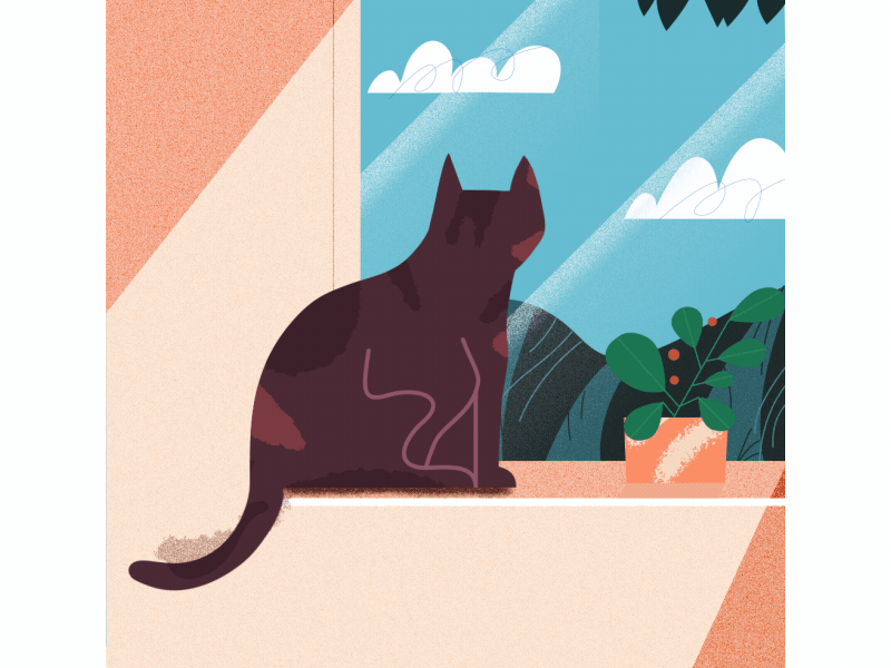 Little predator predator tail gif animation birds hunt window cat