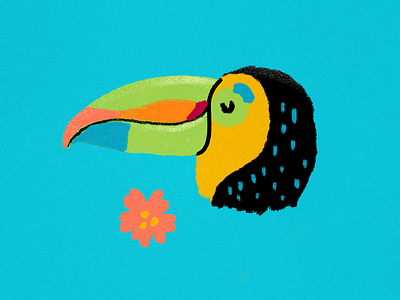 Tucán animal flower green app illustration ilustracion nature tropical tucan