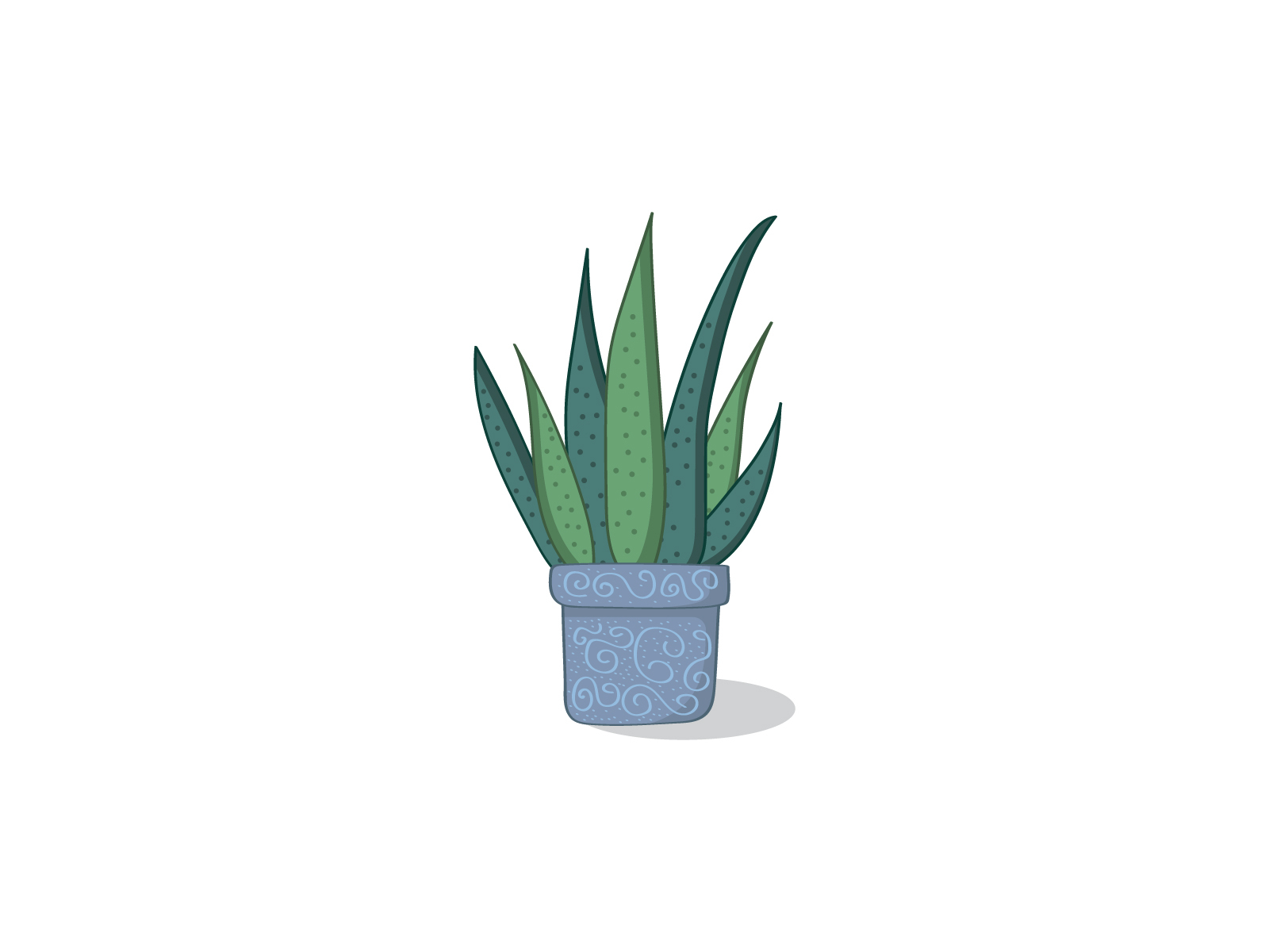 Aloe Vera Plant botanical botanical illustration design illustrator patttern plant plant illustration