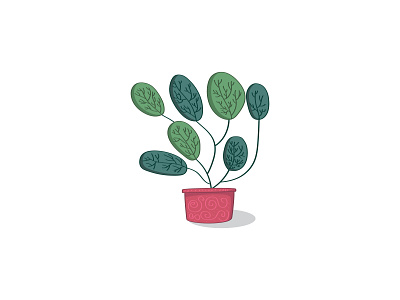 Succulent botanical cactus design illustration nature plants potted plant