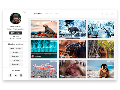 Fotogram Profile Page design fotogram landing minimal profilepage ui ux web website