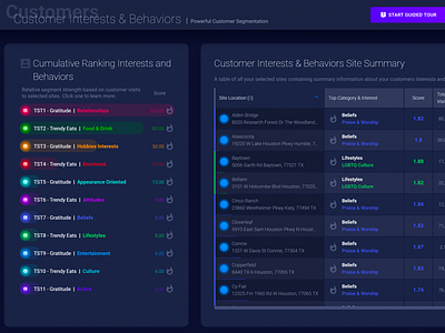 SiteZeus Customer Segmentation