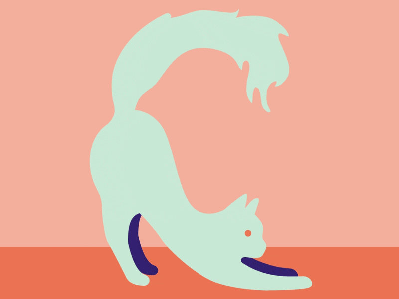 C is for Cat 36 days of type art direction cat color palette gif illustration lettering challenge meow motion graphic