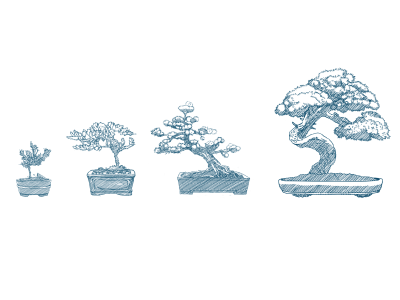 Bonsai Trees bonsai drawing hand drawing illustration trees