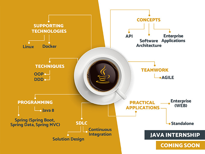 Teaser | Java Internship by Alexandra Chereches on Dribbble