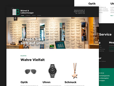 Blümel & Liebschwager Landing Page accent dark green green app landing page optican simple typography ui ui ux design