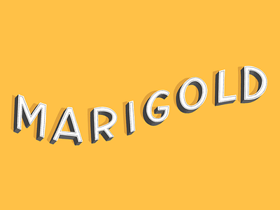 marigold gold handlettering handtype lettering marigold sans serif