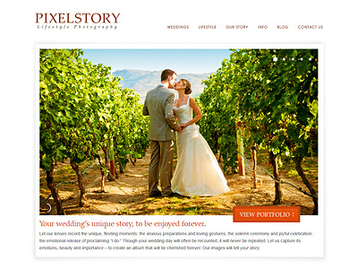 Pixel Story feature area hero photographers web design wedding