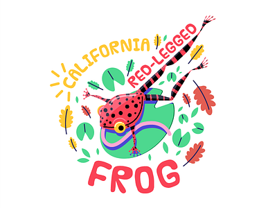 California Red-Legged Frog adobe amphibian animal bay area california color design frog illustration illustrator vector