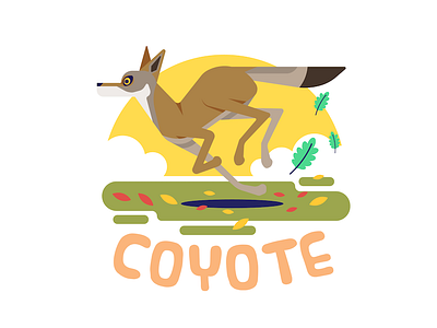 Coyote adobe illustrator animal bay area city color coyote design illustration san francisco vector wildlife