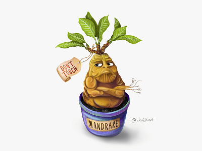 Dangerous Mandrake book illustrations cartoon character children illustration funny art harry potter hogwarts illustration illustration magicillustration mandrake plant witch and wizard