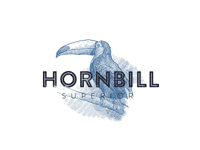 Hornbill Logo app branding character clean creative design dribbble flat icon illustration lettering logo minimal type typography vector