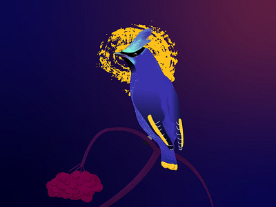 Bird illustration