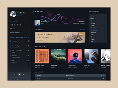 Vibe Desktop Player 306 design media music player playlist ui ux