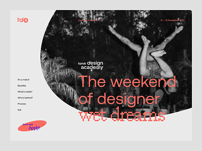 🎓 TDA — Weekend of designer wet dreams academy clean design education landing page learn simple typography ui ux web webdesign workshops