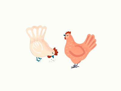HENS animal animal illustration chicken digital illustration hens illustration procreate