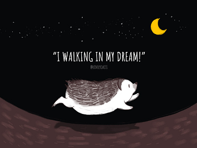 Dreaming Hedgehog art graphic hedgehog illust illustration