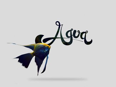 ELEMENTS: AGUA. art design digitalart diseño elements fish lettering photography water