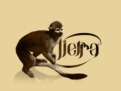 TIERRA