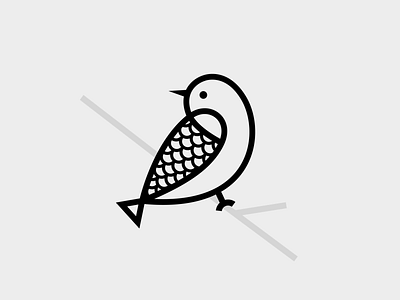 Fishhhhh bird birds design fish graphic icon illustration vector