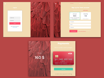 Jucy registration and payment pages app design design sketch ui ui ux ux web design