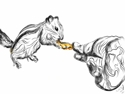Line illustration! abstract animals art branding character colors design digital drawing illustration lineart nature squirrel vector