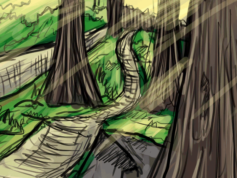 Storyboarding animated drawn elastic forest gif graphics hand drawn sketch storyboard