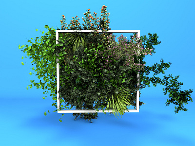 Growing out of the box 3d bright c4d cinema 4d colourful elastic foliage jacob capener nature plants