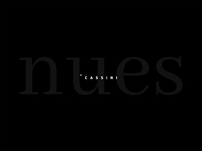 Cassini - idendity brand identity branding identity identity design logo logotype