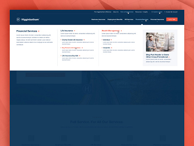 Higginbotham - Mega Menu clean elegant layout navy photography sophisticated structure ui user experience user interface ux