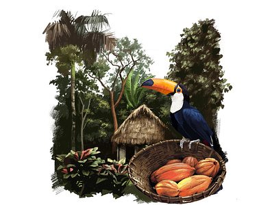 Toucan art cocoa colour colour pencils design illustration nature painting pencils picture sketch
