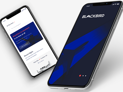 Blackbird bold booking colorful flight interface ios mobile mobile app plane product design ui ui ux design user experience user interface ux