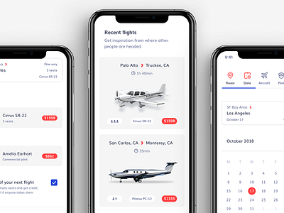 Blackbird app bold booking clean colorful flight ios iphone minimal mobile plane ui user experience user interface ux ux ui