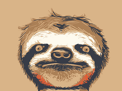 Rob Loukotka Rocks animal art blues eyes face hold on photon illustration jazzy music rob loukotka sloth stare