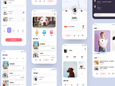 pet app cat dog uidesign 设计